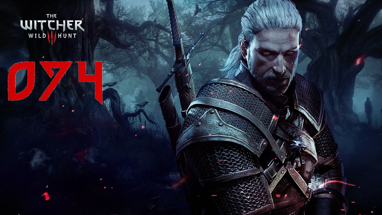 The Witcher 3 Wild Hunt GOTY Death March 074 The Apiarian Phantom