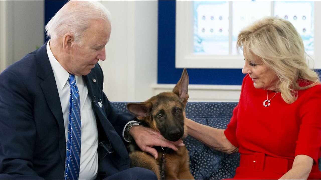 Third Dog Attacked Agents While Biden Was Vice President