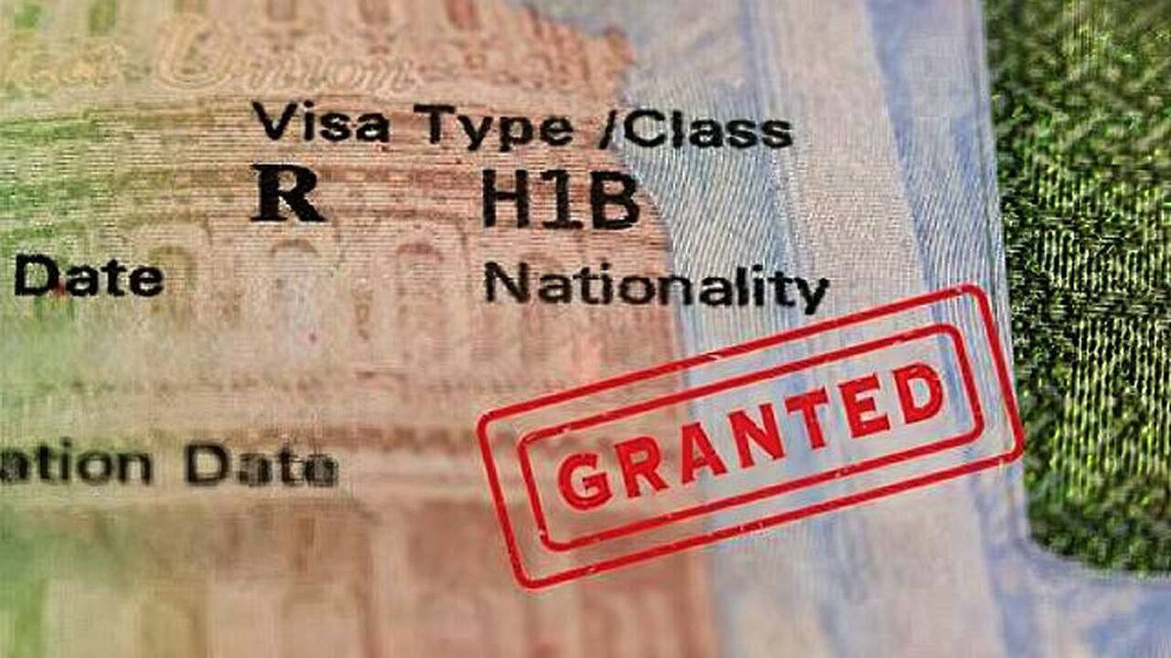 How Does The H-1B Visa System Work? by American Renaissance