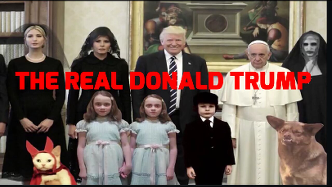 THE REAL DONALD TRUMP