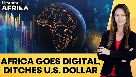 Africa's COMESA Launches Payment Platform to Reduce Dependence on US Dollar | Firstpost Africa
