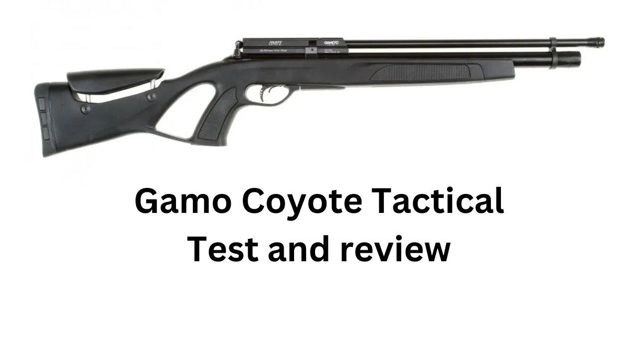 Gamo Coyote Tactical Test and review