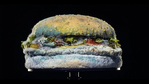 Jambo Reviews Betty Burgers