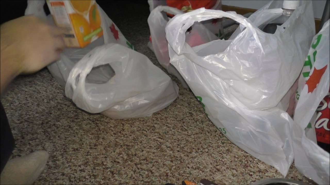Last Dollar Tree Haul Of 2016