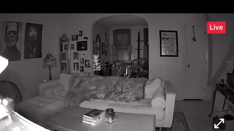 😨👻 Is This a Real Ghost Child or Just a Camera Glitch? | TheHauntingHour