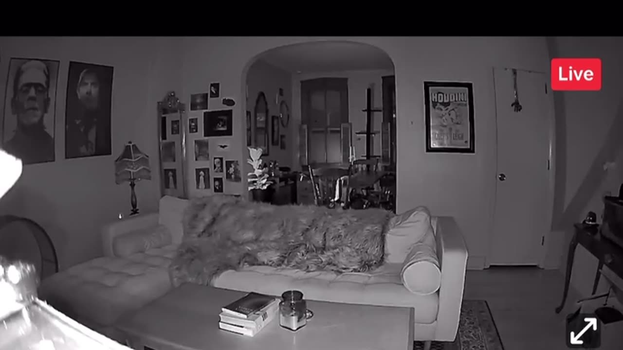 😨👻 Is This a Real Ghost Child or Just a Camera Glitch? | TheHauntingHour