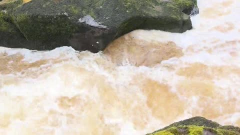 💀🌊 The Deadly Strid! | TheHauntingHour