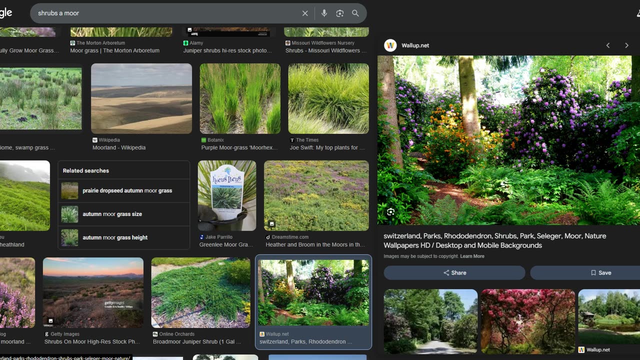 Some more into Heathen and Heath