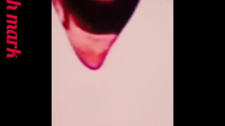 Fired Michigan head coach appears in court