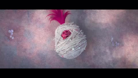 [Clip] Trolls | Me Levantaré | Discovery Kids LA (Feed Panregional/Sur) (07/02/2026)