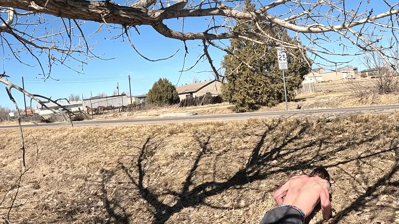 🌳Primal💪Gains #shirtless #sixpackabs #scars