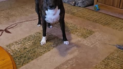 George can catch the ball!