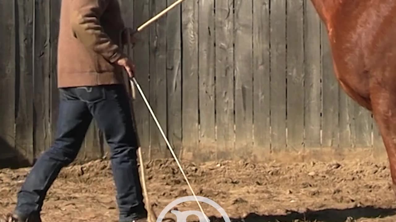 Untrack those feet.