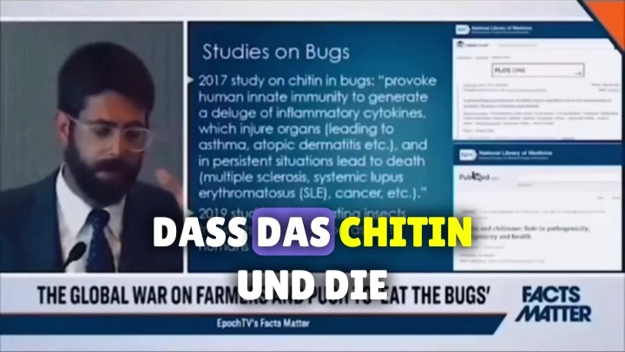 Insekten enthalten Chitin ❓🧐