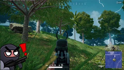 Solo Chicken Dinner