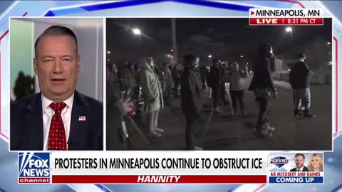 ICE Director: These Are Organized Criminal Gangs Impeding ICE