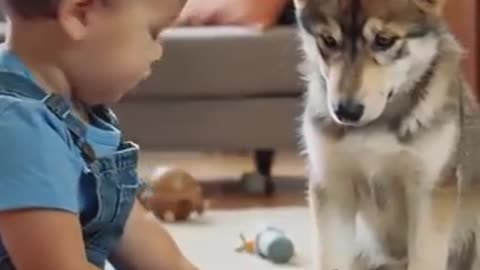 EVERY BOY IS BORN WITH TWO DOGS