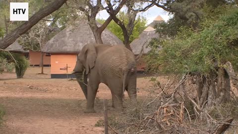 How to Travel With Purpose