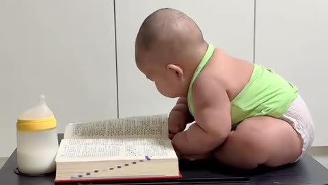 funny videos