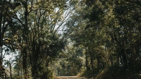 From Slavery to Freedom in Christ