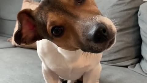 Are you... filming? Me? Right now?