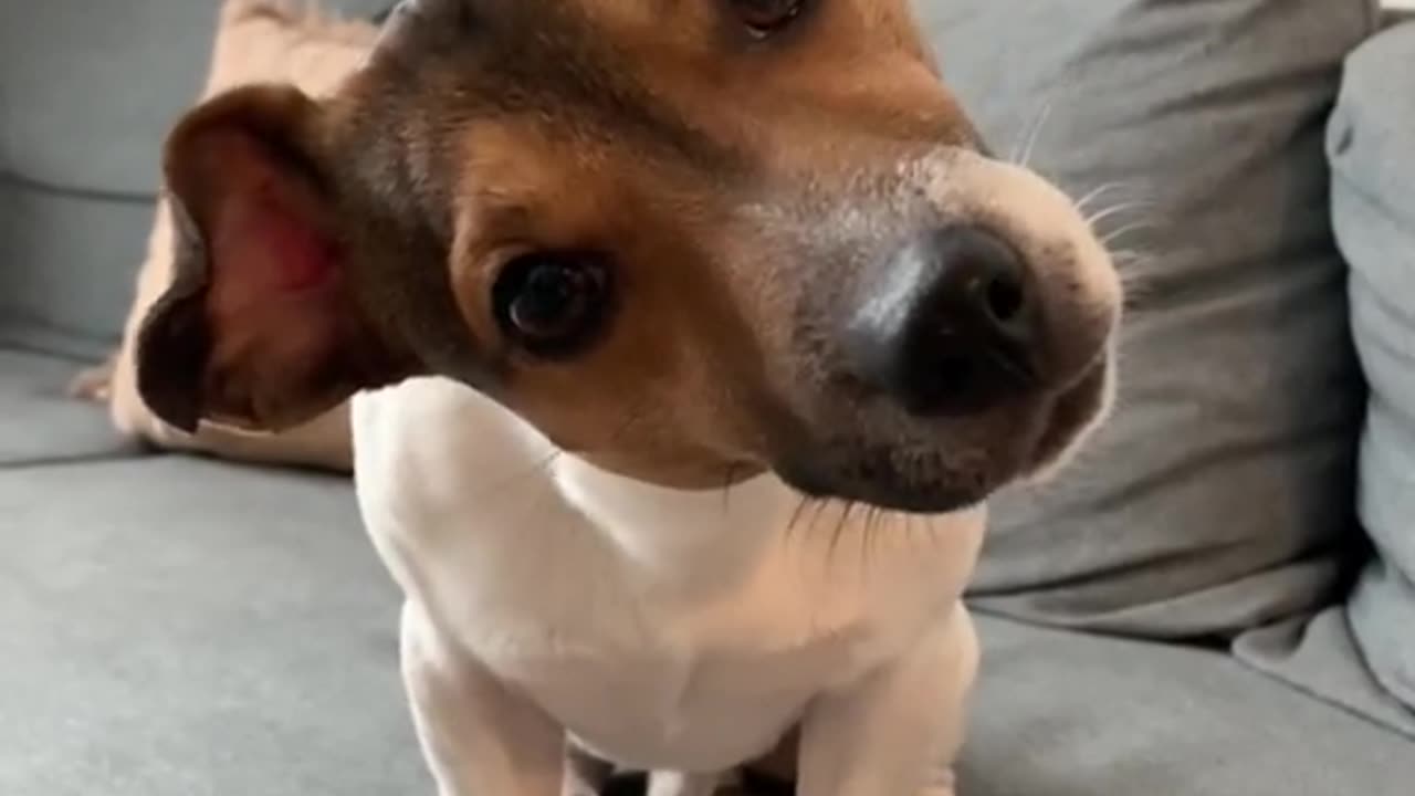 Are you... filming? Me? Right now?