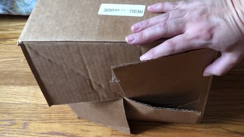 Cat Traps Itself In A Closed Box