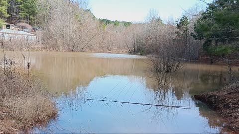 Good news! The pond is full!