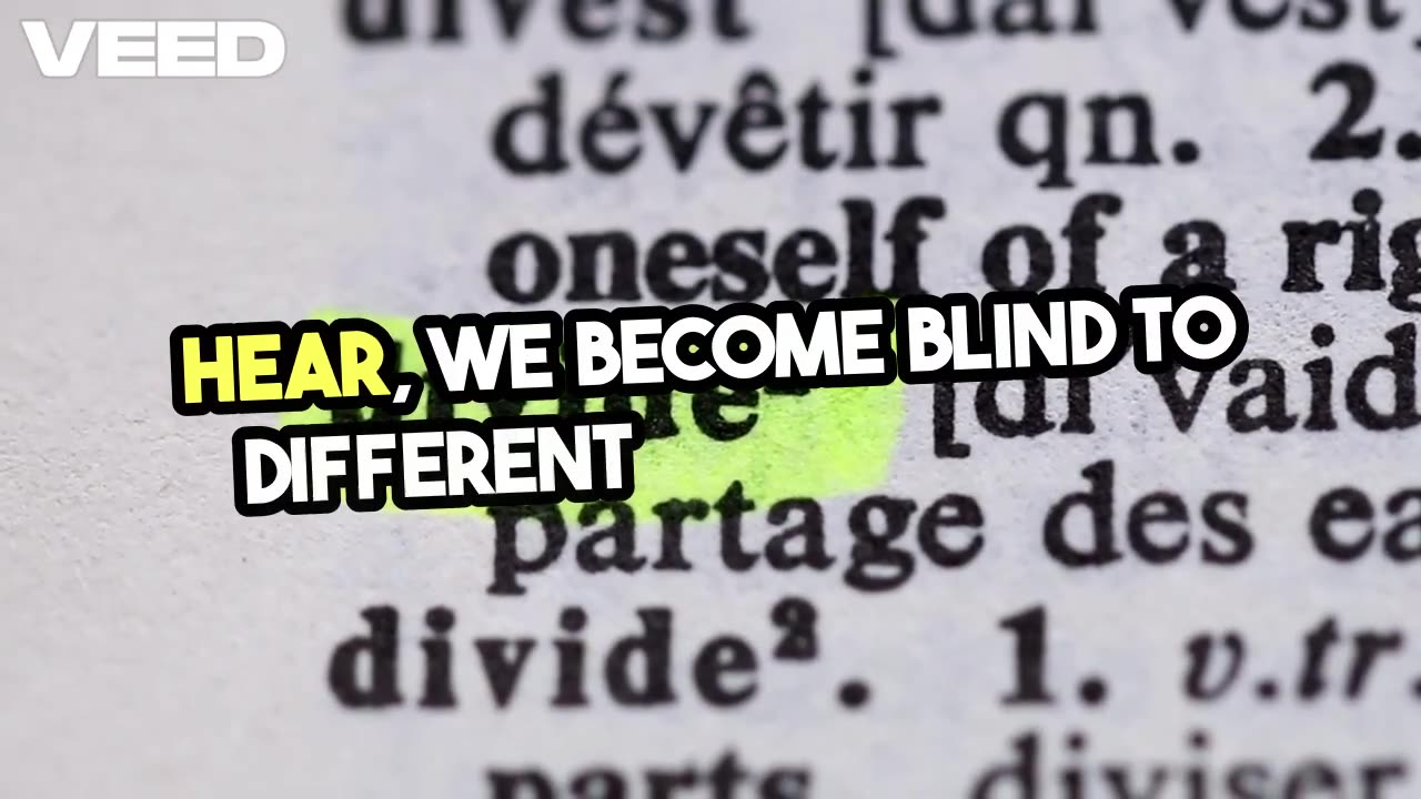 Echo Chamber Effect: Why You Can’t See The Other Side