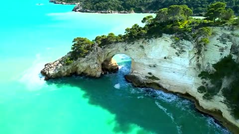 Wonderful 4K Nature • Dolby Vision HDR • 4K Video Ultra HD 120 fps