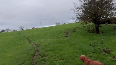 21/10/25 7mile trail run with willow