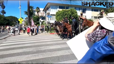 Tensions Flare: Trump Supporters Attend No Kings Rally, Clash with Protesters
