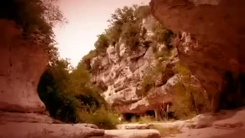 insects movie