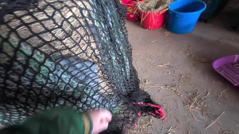 GutzBusta Hay Net Review