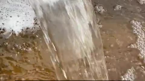 Daily Horoscope | Aquarius 🌟