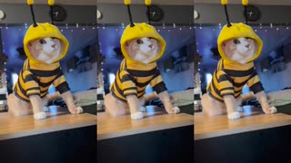 🤣🐝 Meet the Ultimate Chucky Bee Ready to Attack! | FunFM