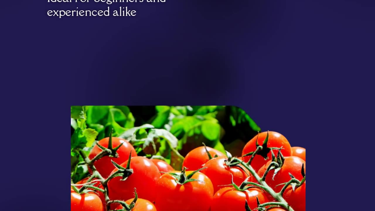 Grow Perfect Tomatoes: A Beginner’s Guide to Cultivating Healthy, Flavorful, and Bountiful Harvests