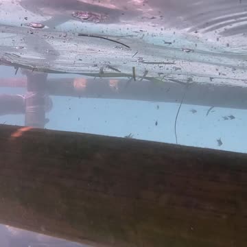 Snorkeling, Underwater Is My Happy Place!