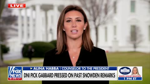 Alina Habba: Democrat Senators sidetracked in confirmation hearings