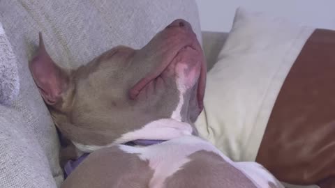 When the Sleep Monster Hits and You Just Can’t Fight Back