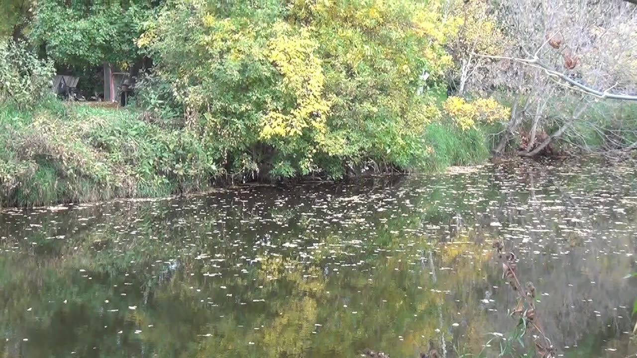 Things Are Happening in WestLake-Gladstone! (Oct 3, 2025)