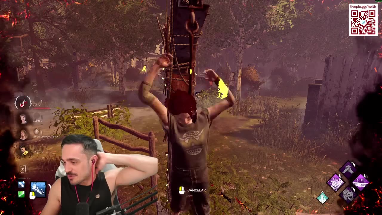 quarta de memes e alergia