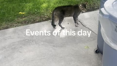 Thank you Jesus for delivering me safely back to my son🙏🏼