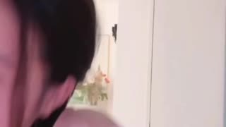 529
