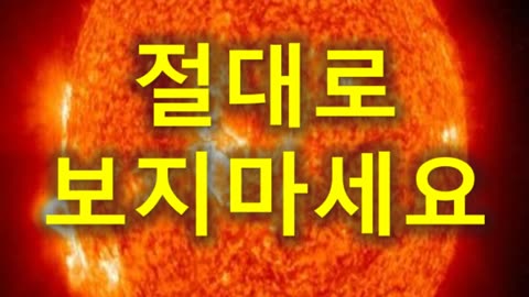 (204) 절대로 보지 마세요