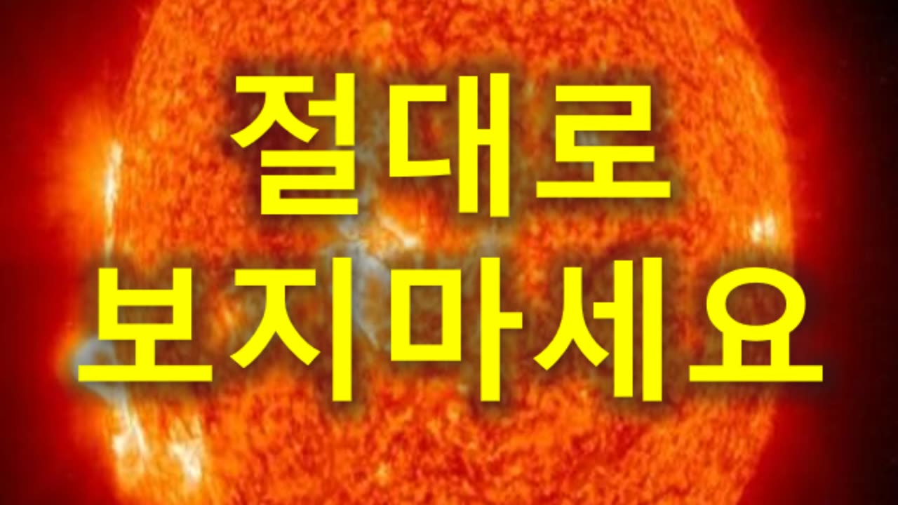 (204) 절대로 보지 마세요