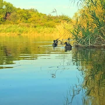 Spiritual awakening / Nature ambience.