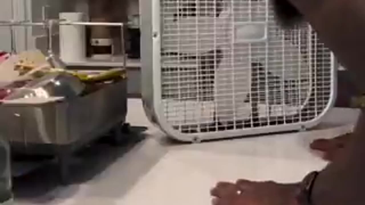 this world is just not serious | funny video | crazy clips | tik tok video