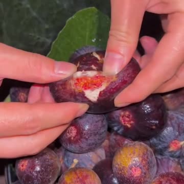 Top 10 surprising facts about food 🥑🥝🥑