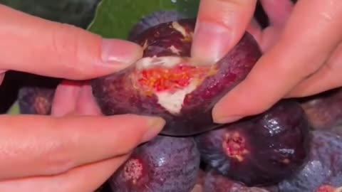 Top 10 surprising facts about food 🥑🥝🥑